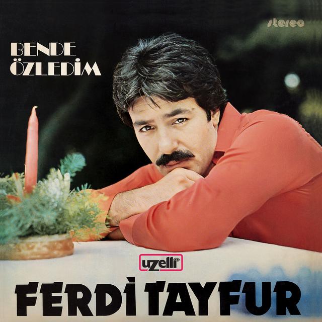 Album cover art for Ben de Özledim