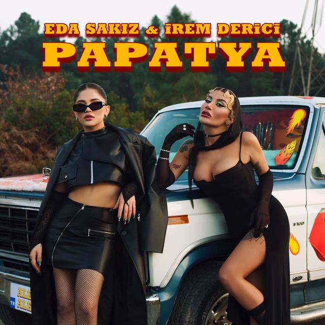 Album cover art for Papatya