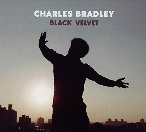 Album cover art for Black Velvet