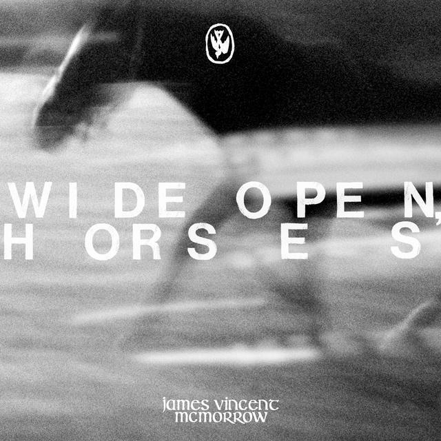 Album cover art for Wide Open, Horses