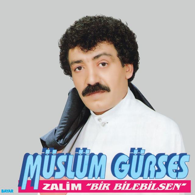 Album cover art for Zalim