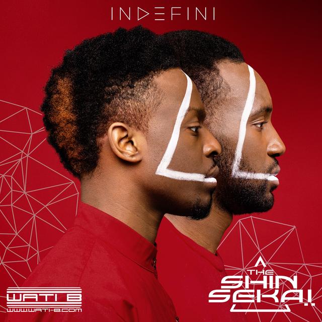 Album cover art for Indefini