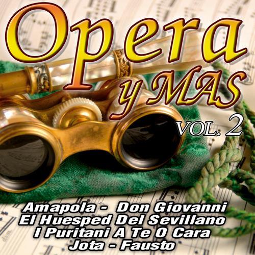 Album cover art for Opera Y Mas Vol.2