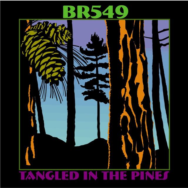 Album cover art for Tangled in the Pines