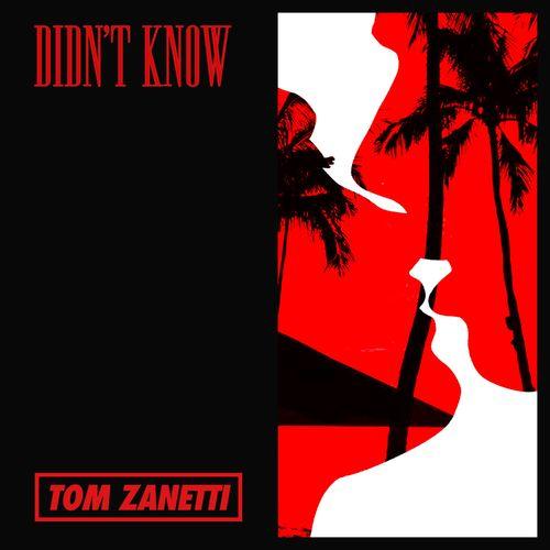 Album cover art for Didn't Know