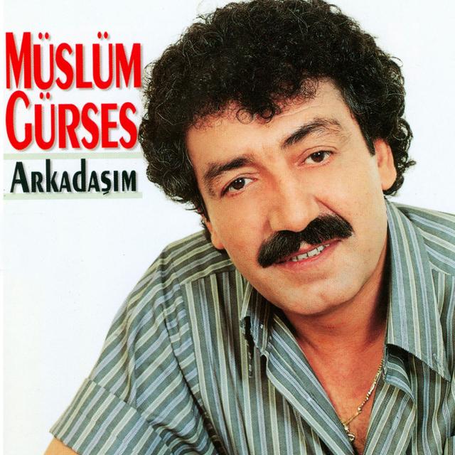 Album cover art for Arkadaşım