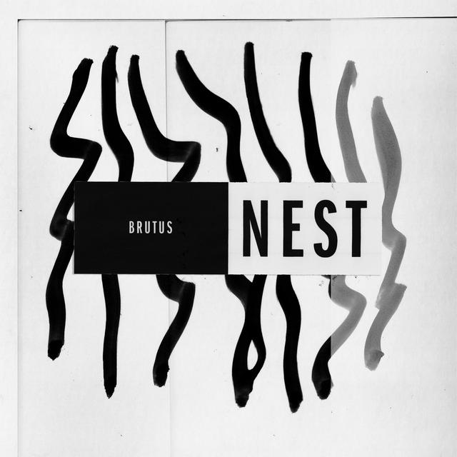 Album cover art for Nest