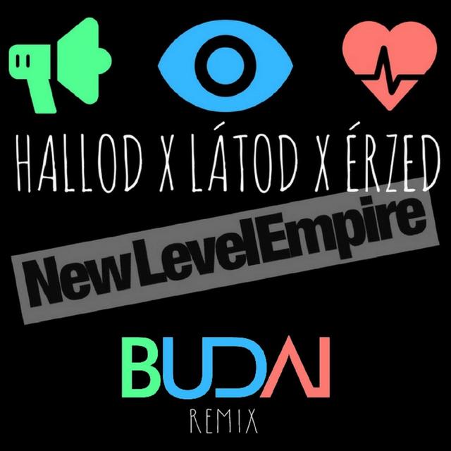 Album cover art for Hallod látod érzed (Budai remix)