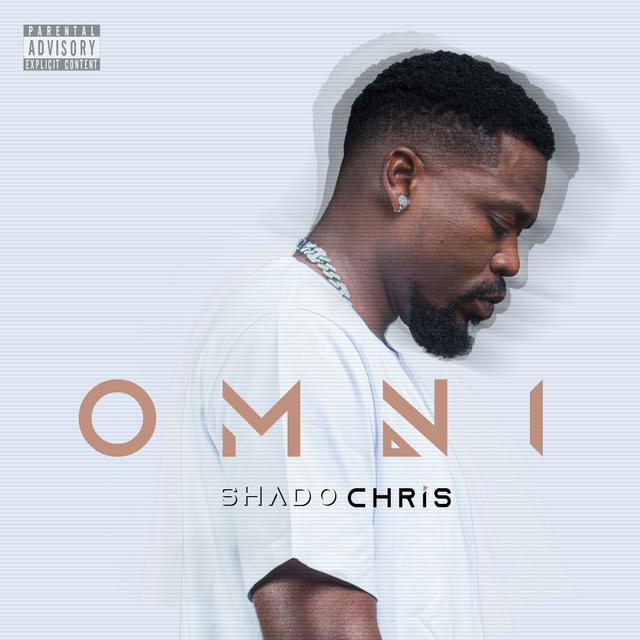 Album cover art for OMNI