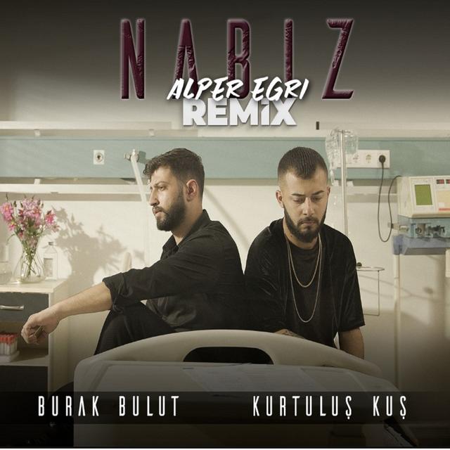 Album cover art for Nabız