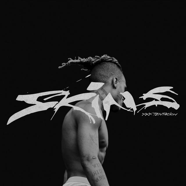 Album cover art for Skins