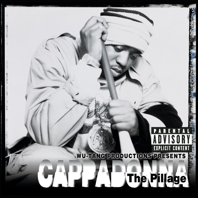 Album cover art for The Pillage