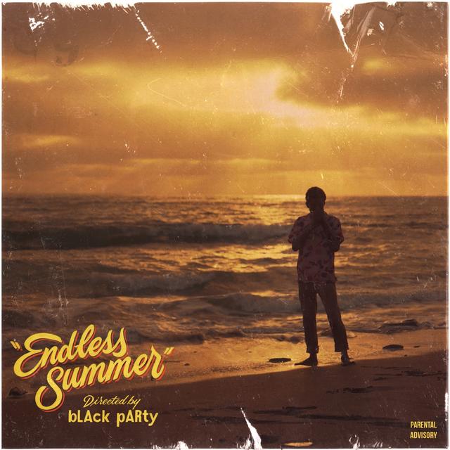 Album cover art for Endless Summer