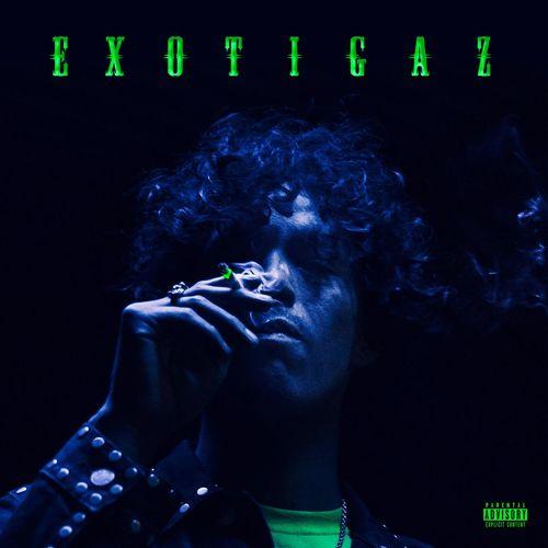 Album cover art for EXOTIGAZ