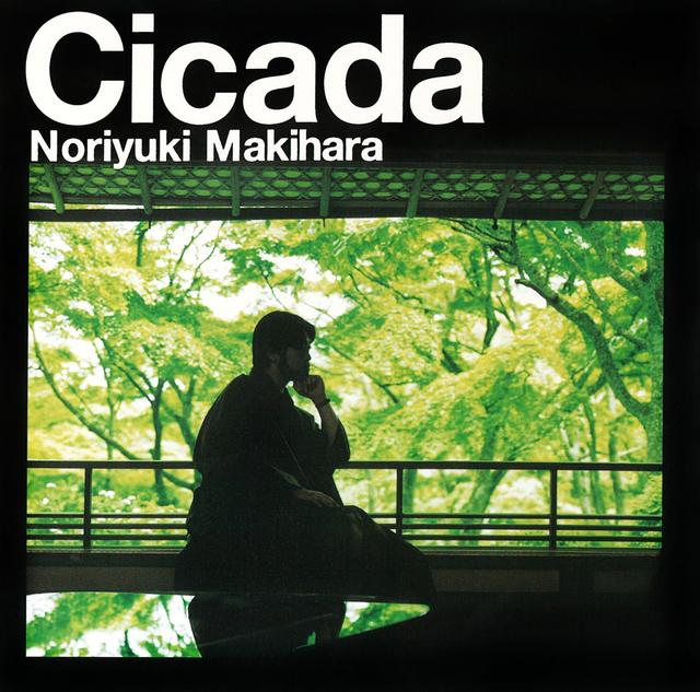 Album cover art for Cicada