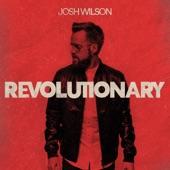 Album cover art for Revolutionary