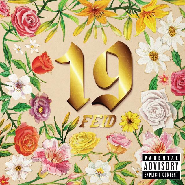 Album cover art for 19