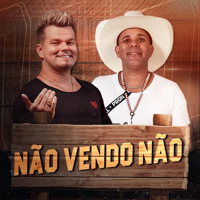 Album cover art for Não Vendo Não