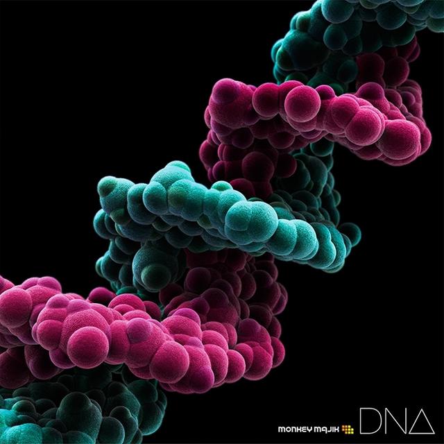 Album cover art for DNA