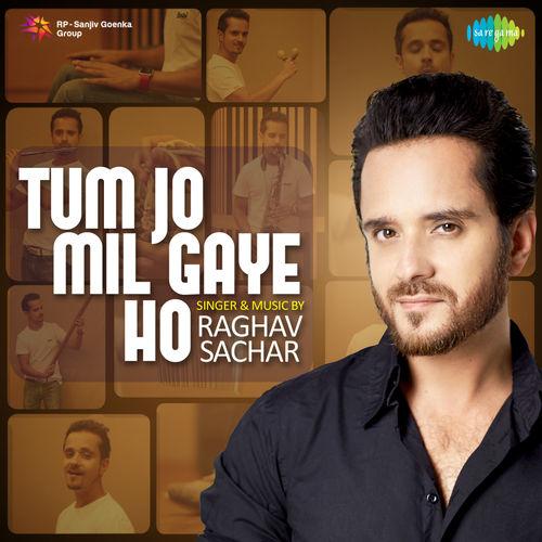 Album cover art for Tum Jo Mil Gaye Ho - Single