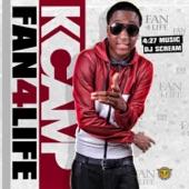 Album cover art for Fan4Life