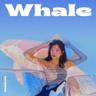 Whale