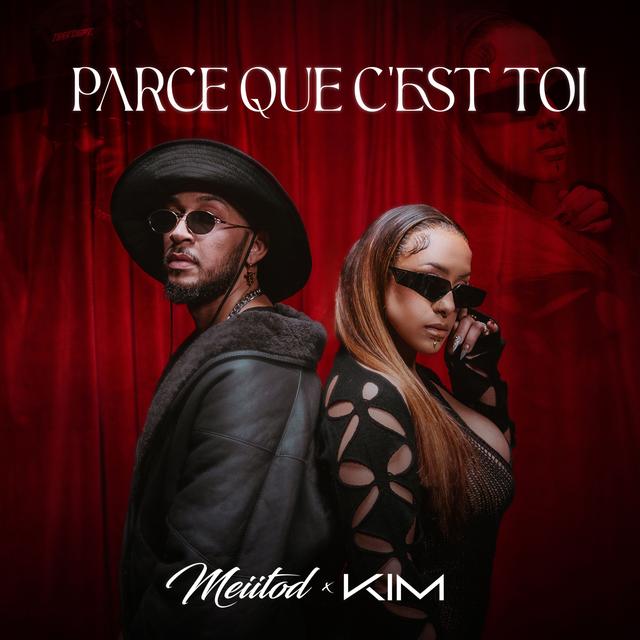 Album cover art for Parce que c'est toi