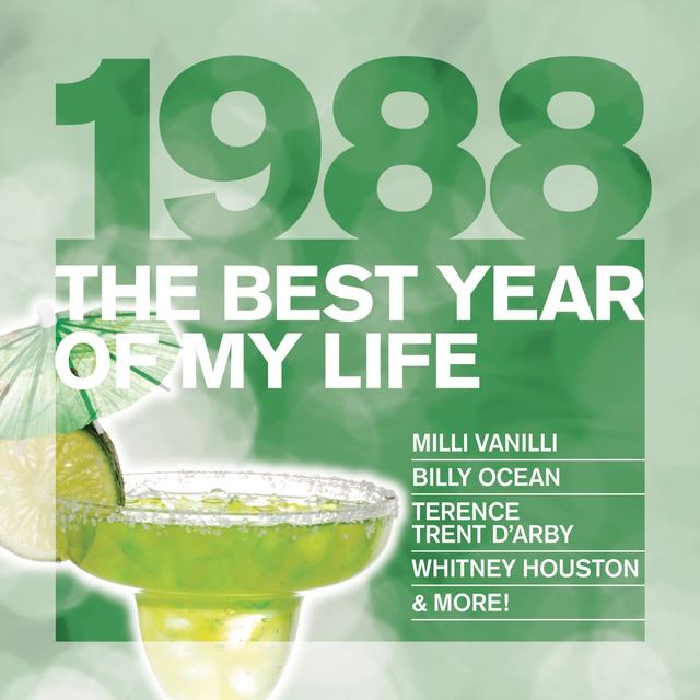 Album cover art for The Best Year Of My Life: 1988