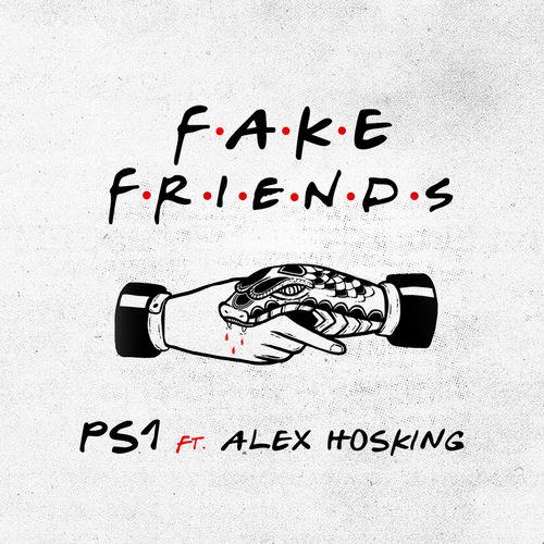 Album cover art for Fake Friends