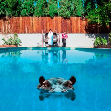 Album cover art for Hippopotamus