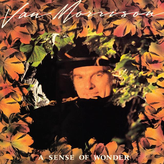 Album cover art for A Sense of Wonder