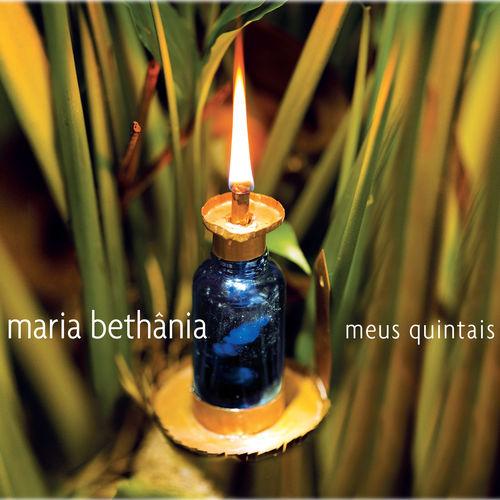 Album cover art for Meus Quintais