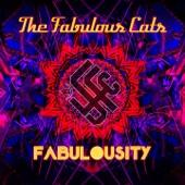 Album cover art for Fabulousity