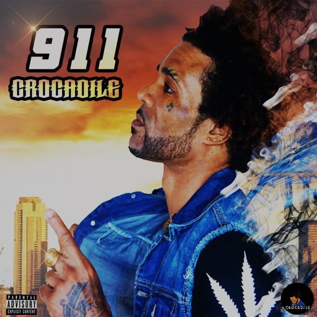 Album cover art for 911