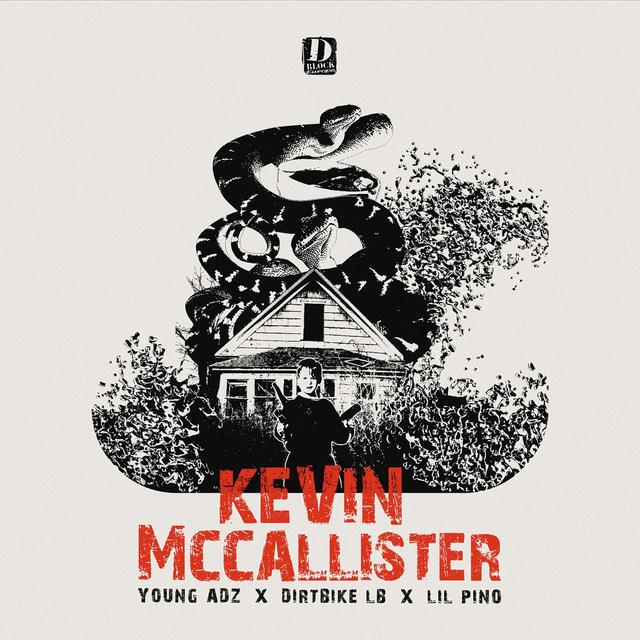 Album cover art for Kevin McCallister