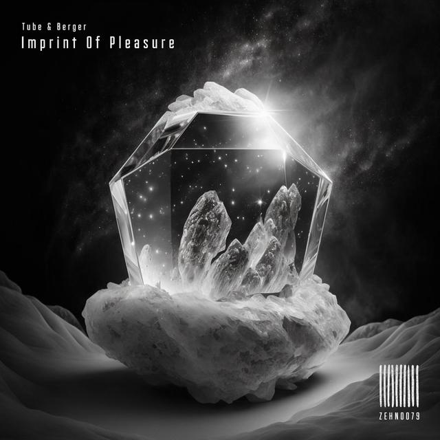 Album cover art for Imprint of Pleasure