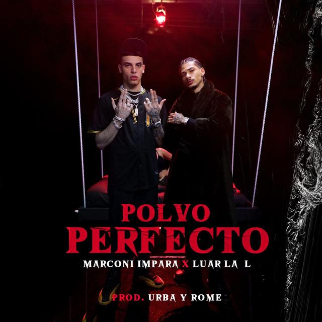 Album cover art for Polvo Perfecto