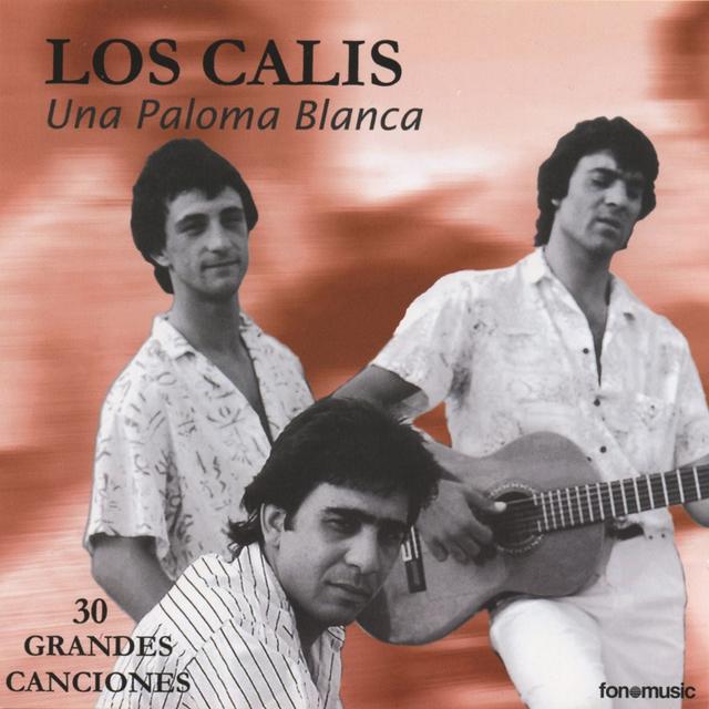 Album cover art for 30 Grandes Canciones