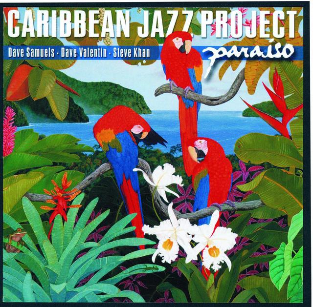 Album cover art for Paraíso