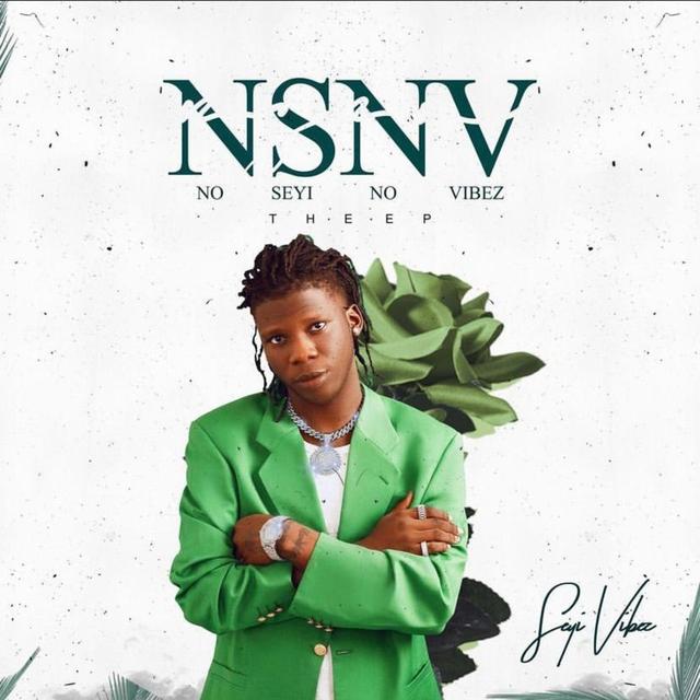 Album cover art for NSNV