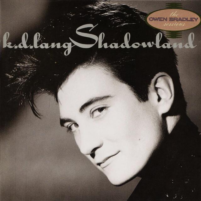 Album cover art for Shadowland