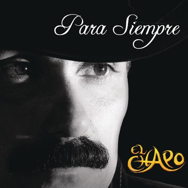 Album cover art for Para Siempre