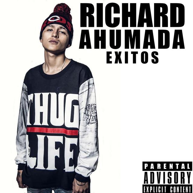 Album cover art for Exitos