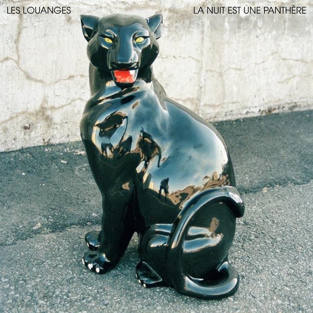 Album cover art for La Nuit Est Une Panthère