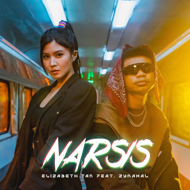 Album cover art for Narsis