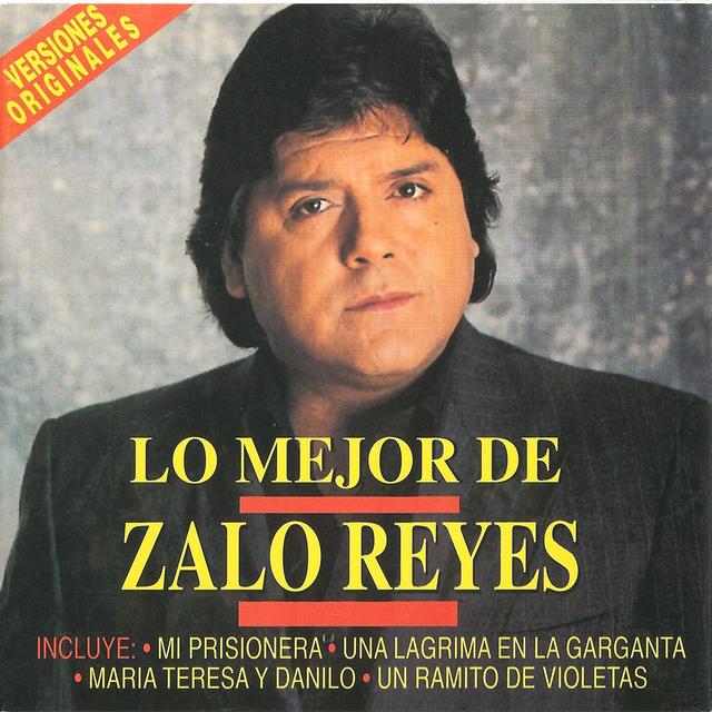 Album cover art for Un Ramito de Violetas