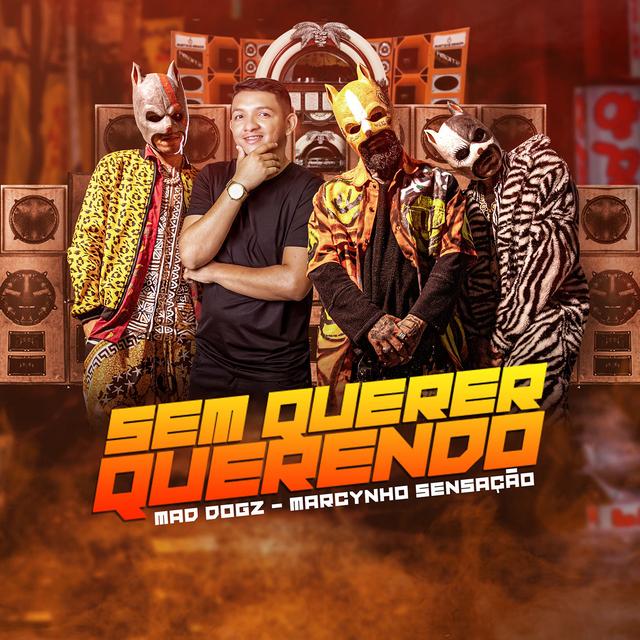 Album cover art for Sem Querer Querendo