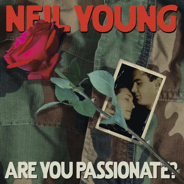 Album cover art for Are You Passionate?