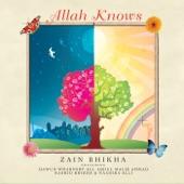 Album cover art for Allah Knows