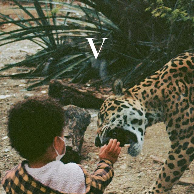 Album cover art for V